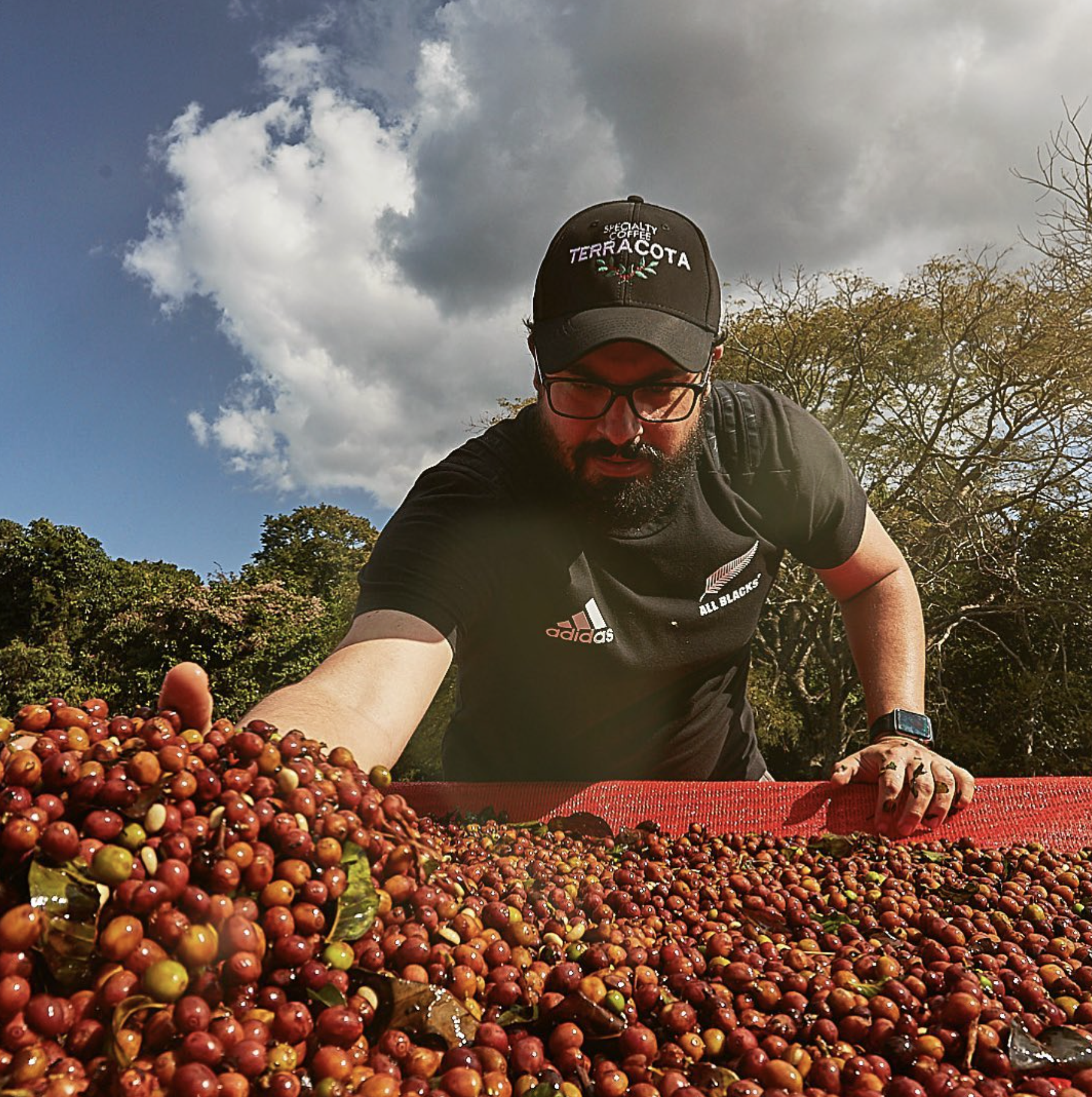 Felipe Carvalho Blend de Geshas